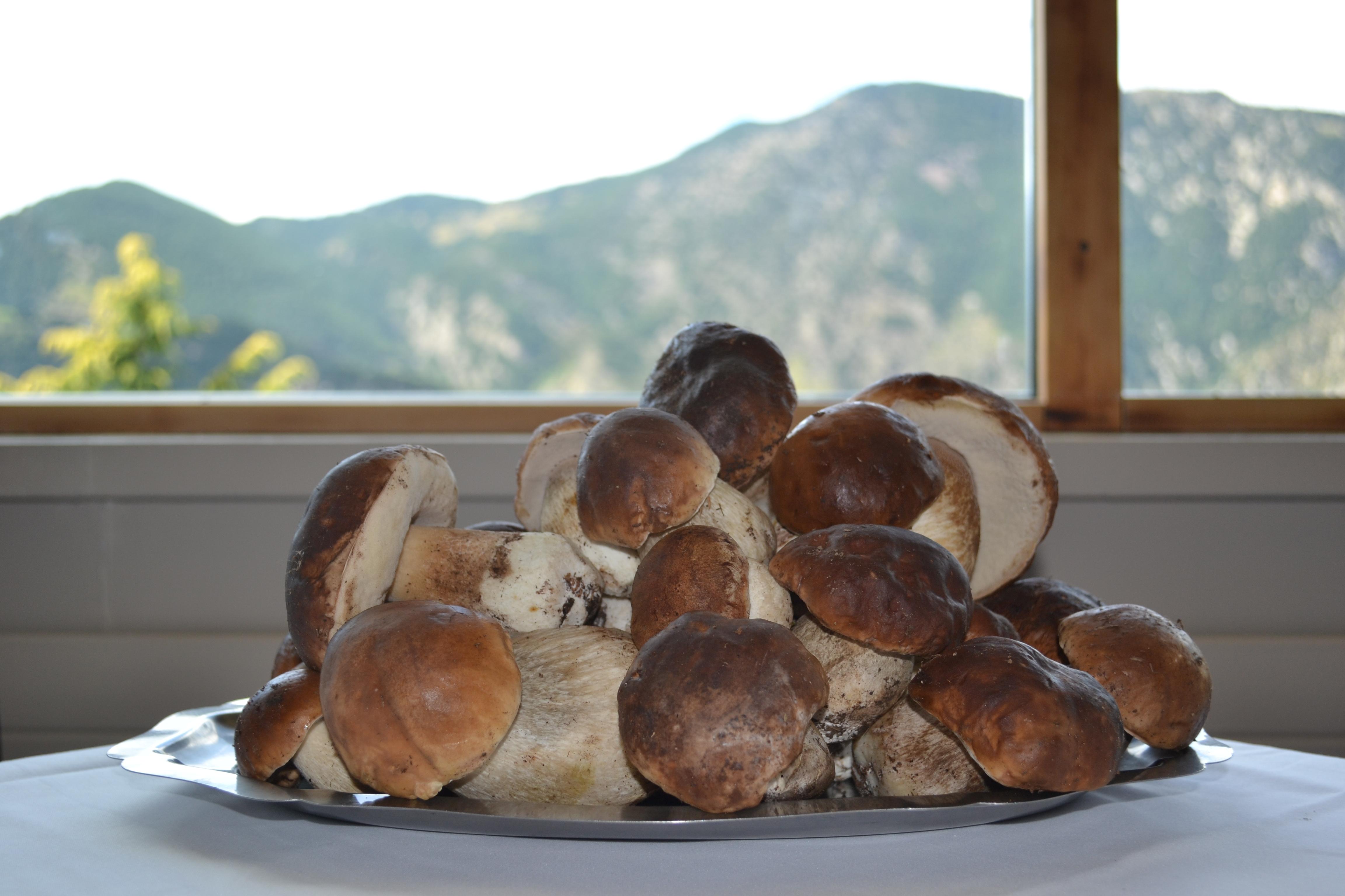Hotel Coma Bella Sant Julià de Lòria Zewnętrze zdjęcie